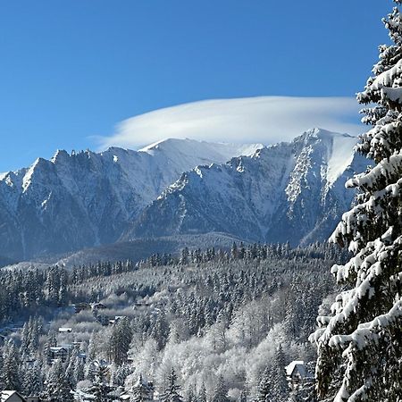 Pine Peak Apartments Predeal Zewnętrze zdjęcie