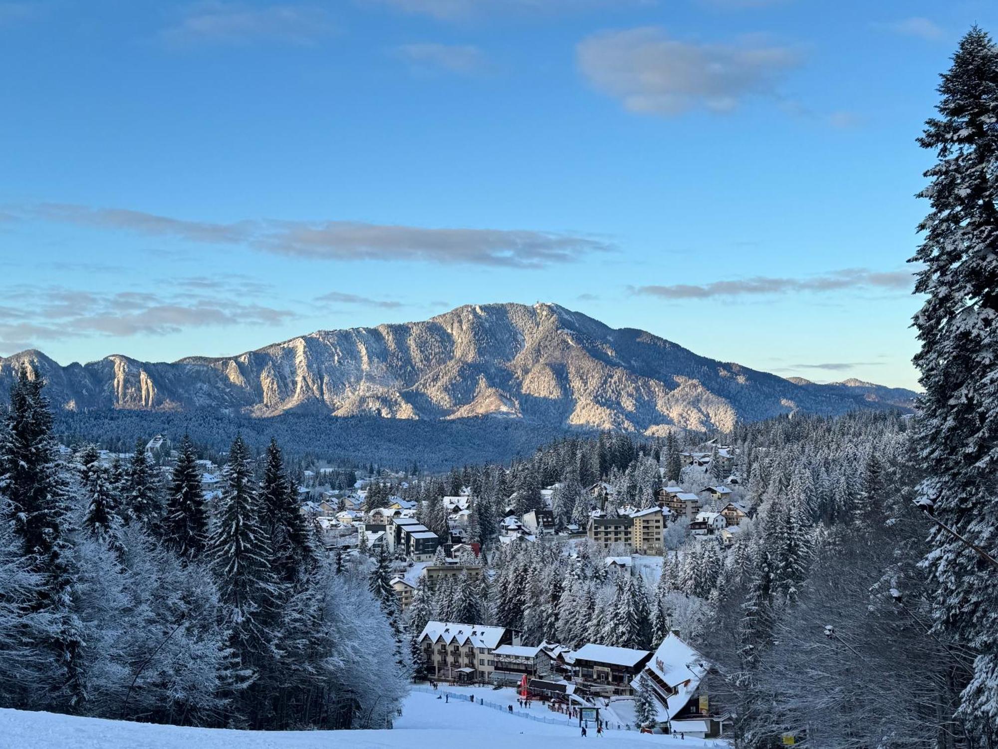 Pine Peak Apartments Predeal Zewnętrze zdjęcie