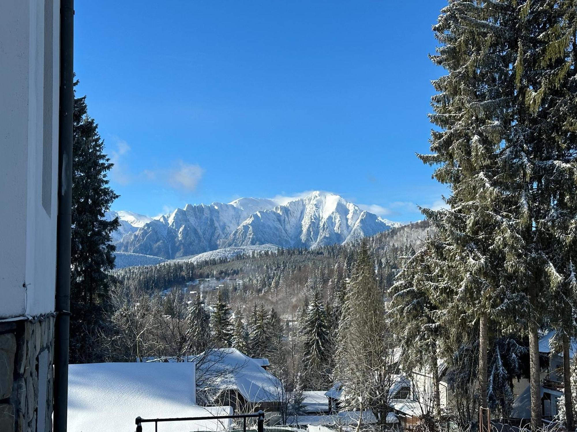 Pine Peak Apartments Predeal Zewnętrze zdjęcie