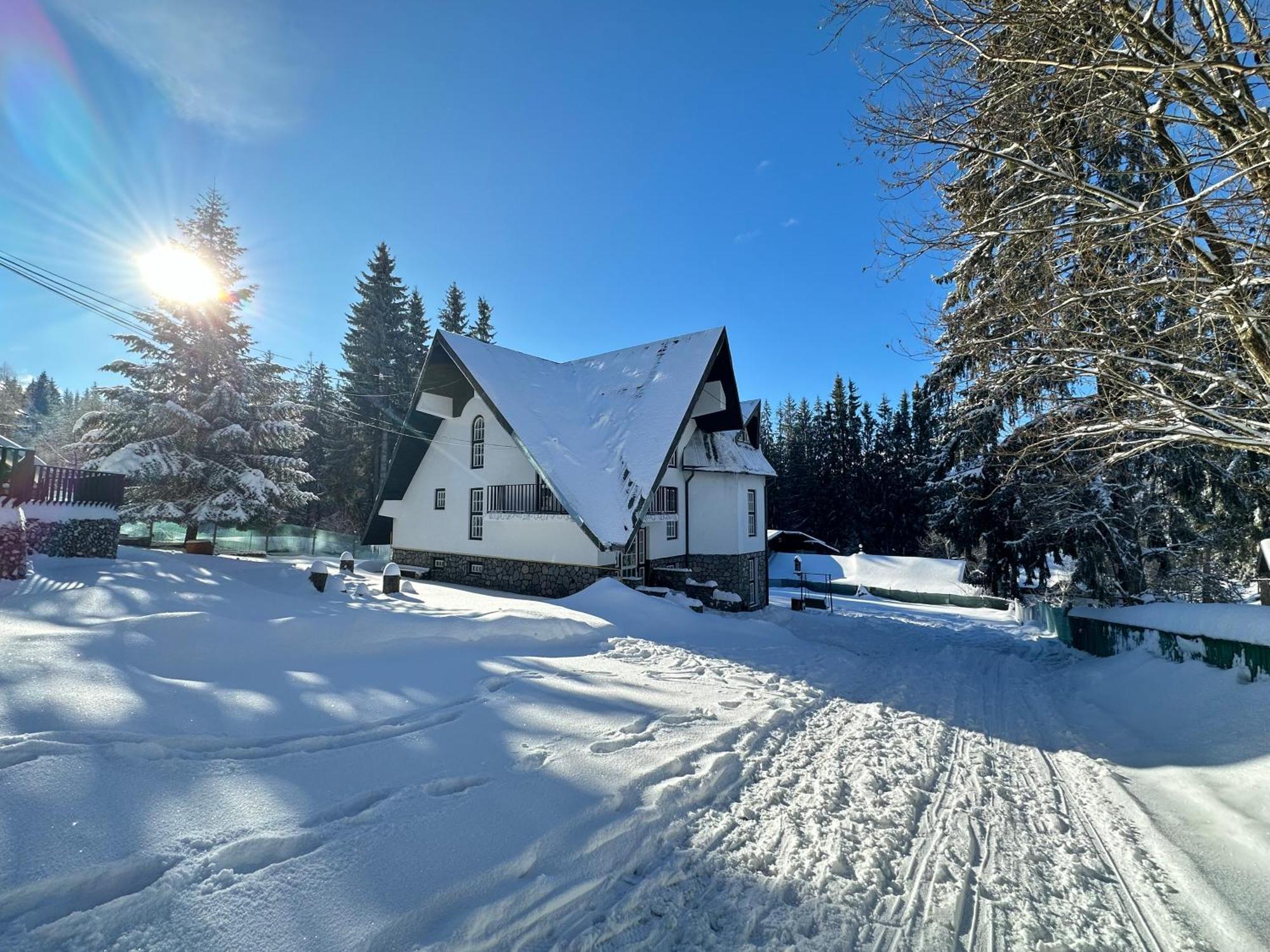 Pine Peak Apartments Predeal Zewnętrze zdjęcie