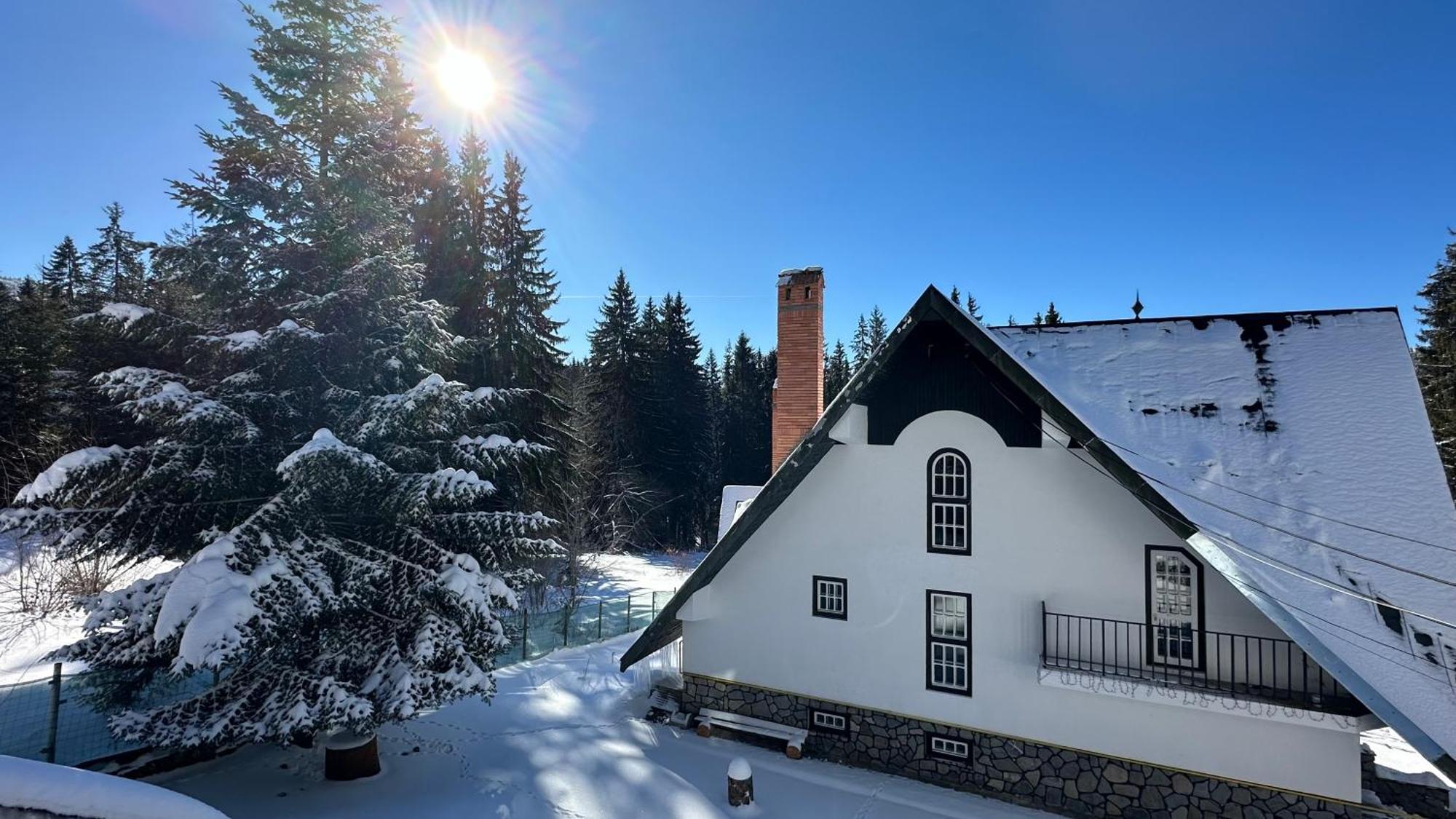 Pine Peak Apartments Predeal Zewnętrze zdjęcie