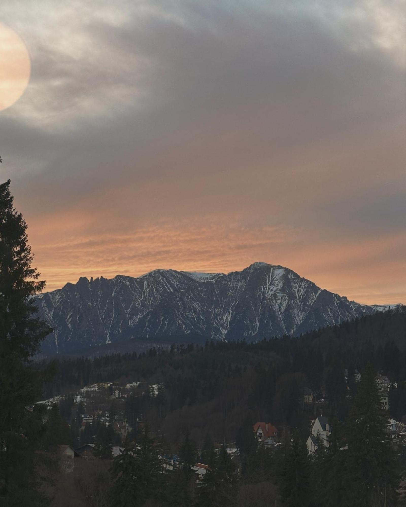 Pine Peak Apartments Predeal Zewnętrze zdjęcie