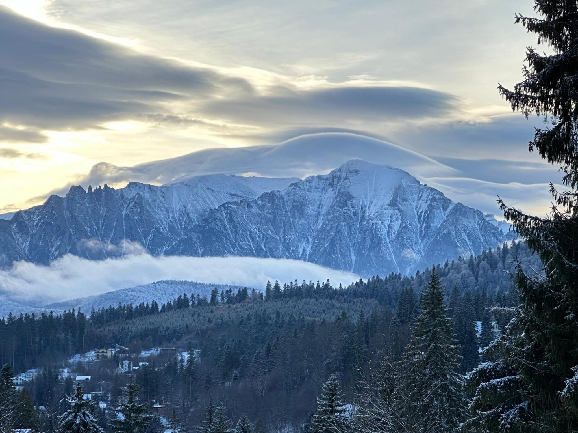 Pine Peak Apartments Predeal Zewnętrze zdjęcie
