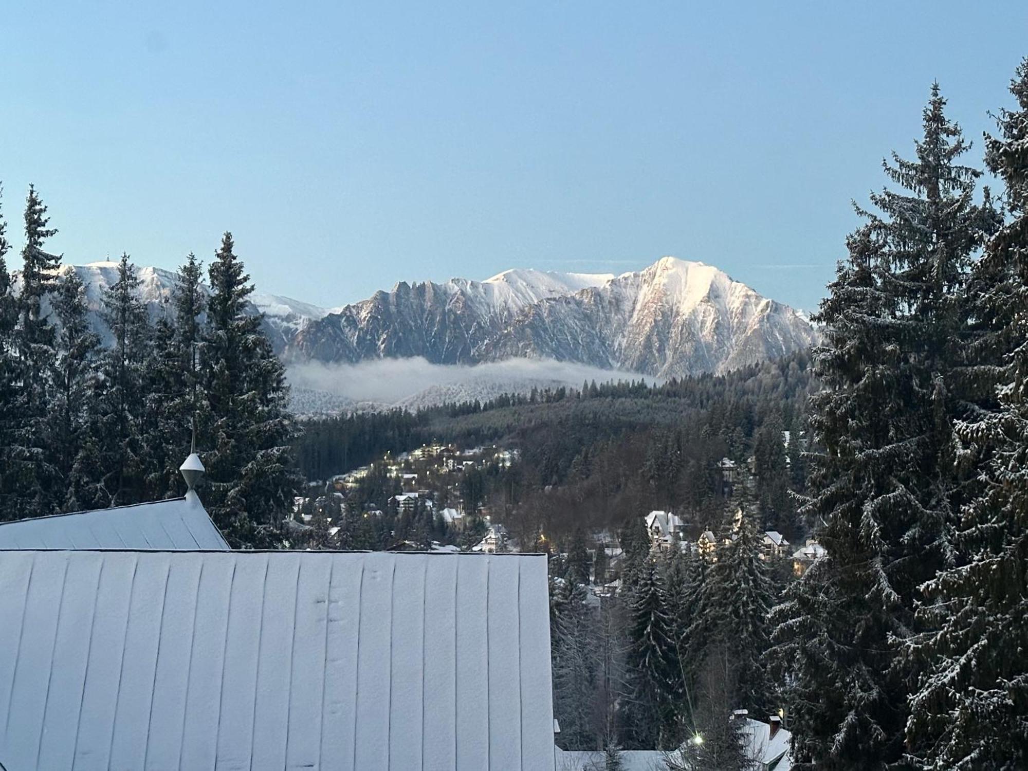 Pine Peak Apartments Predeal Zewnętrze zdjęcie