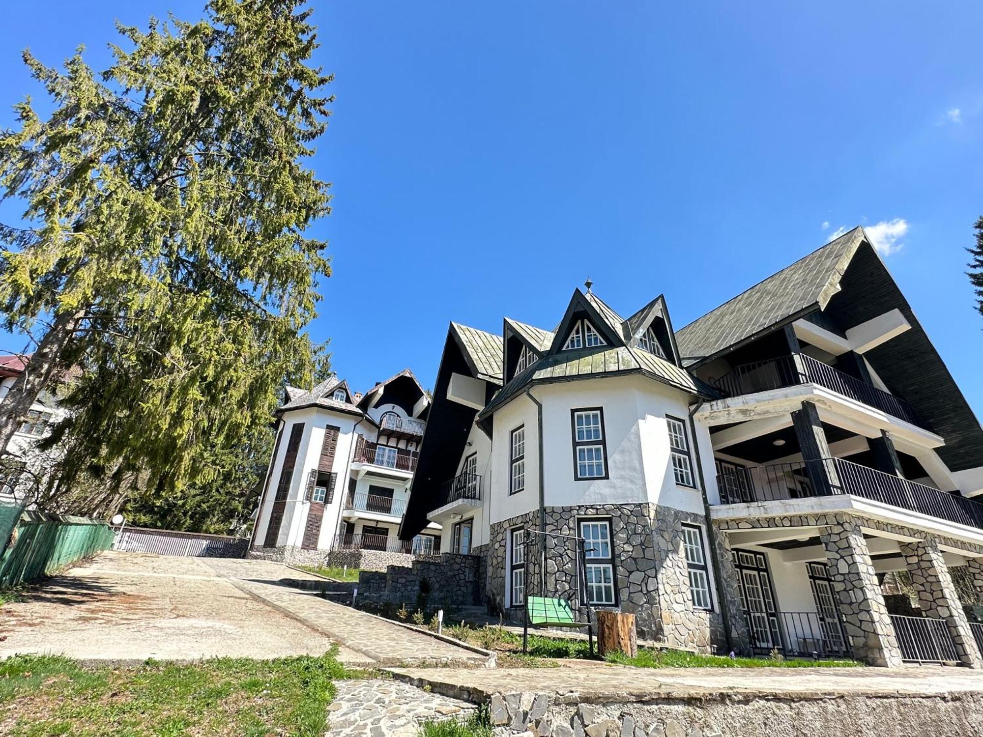 Pine Peak Apartments Predeal Zewnętrze zdjęcie