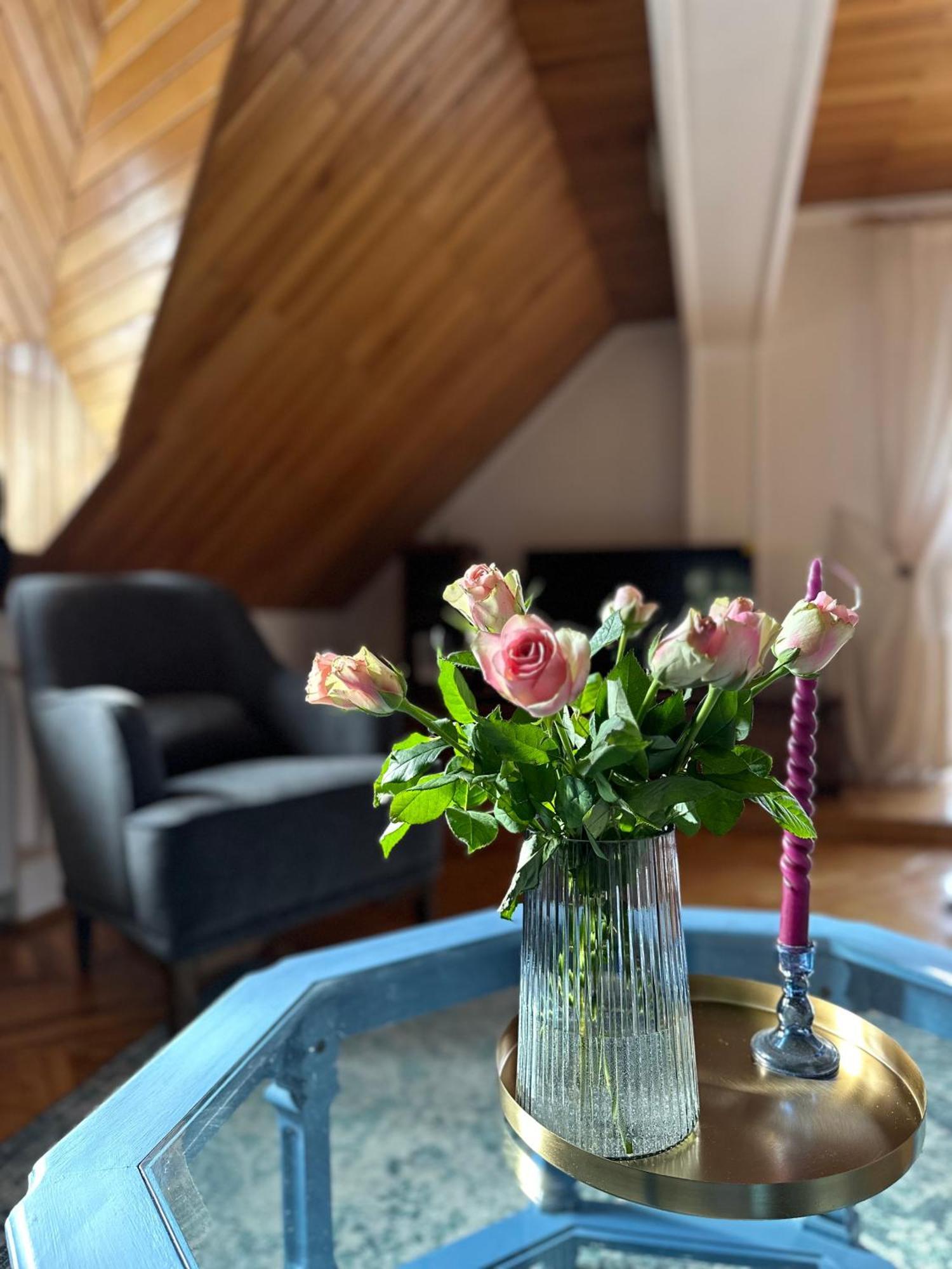 Pine Peak Apartments Predeal Zewnętrze zdjęcie