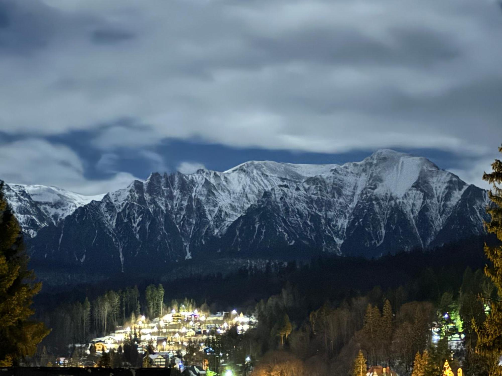 Pine Peak Apartments Predeal Zewnętrze zdjęcie