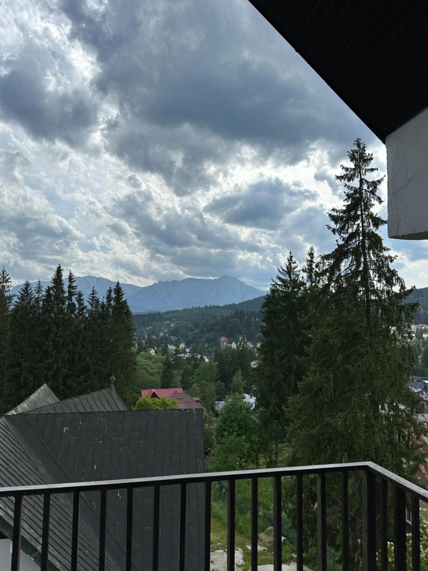 Pine Peak Apartments Predeal Zewnętrze zdjęcie
