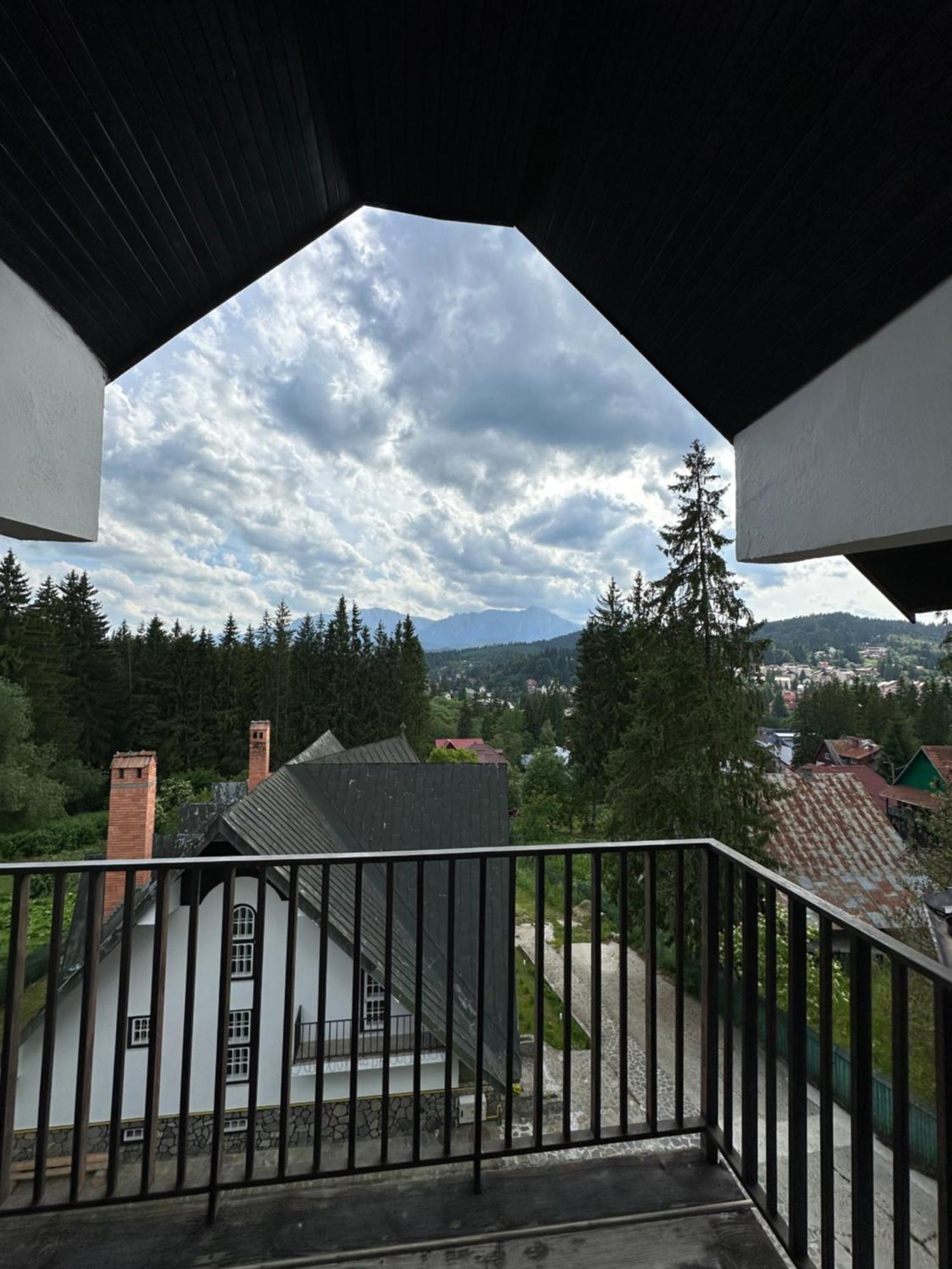 Pine Peak Apartments Predeal Zewnętrze zdjęcie