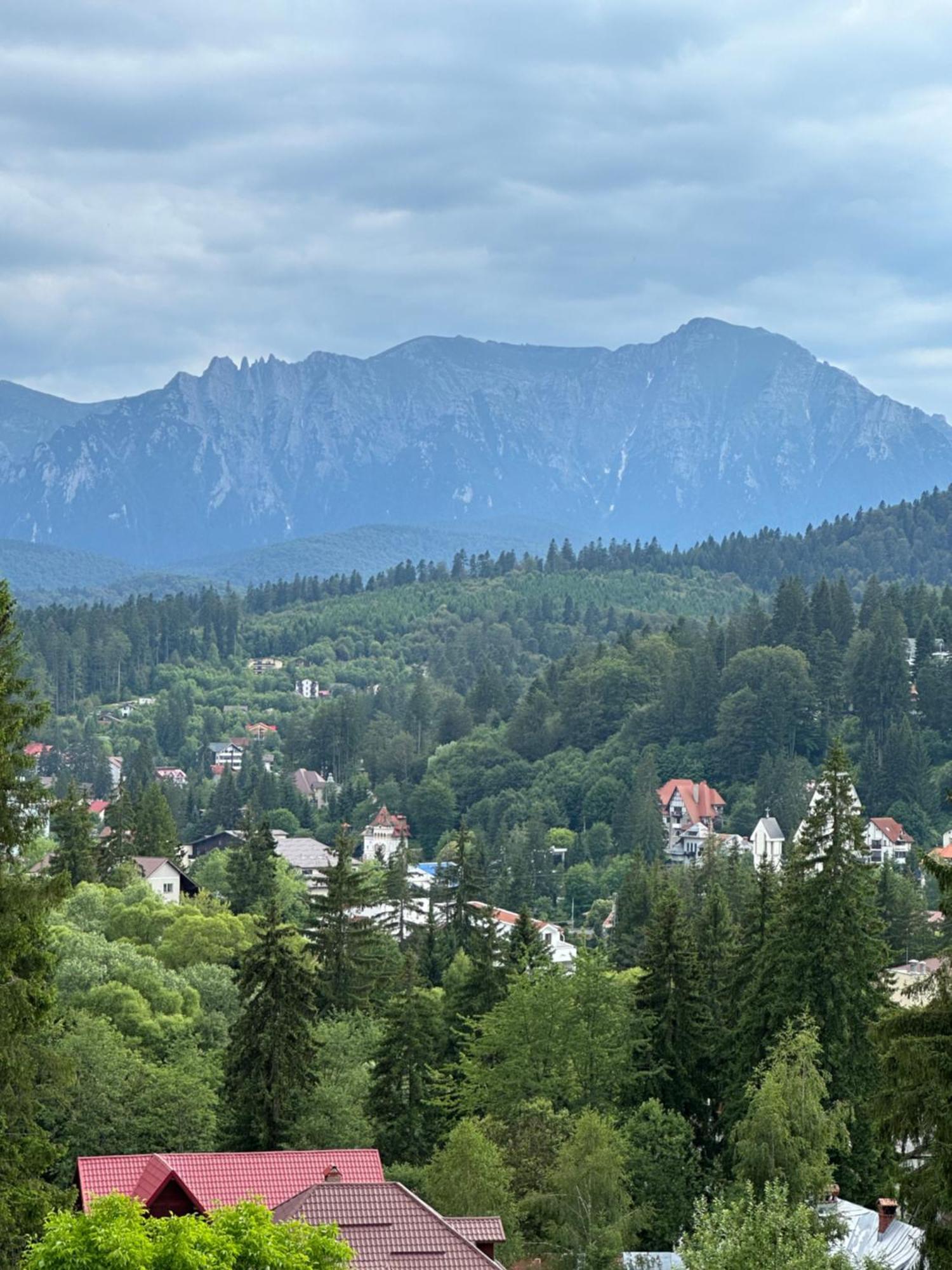 Pine Peak Apartments Predeal Zewnętrze zdjęcie