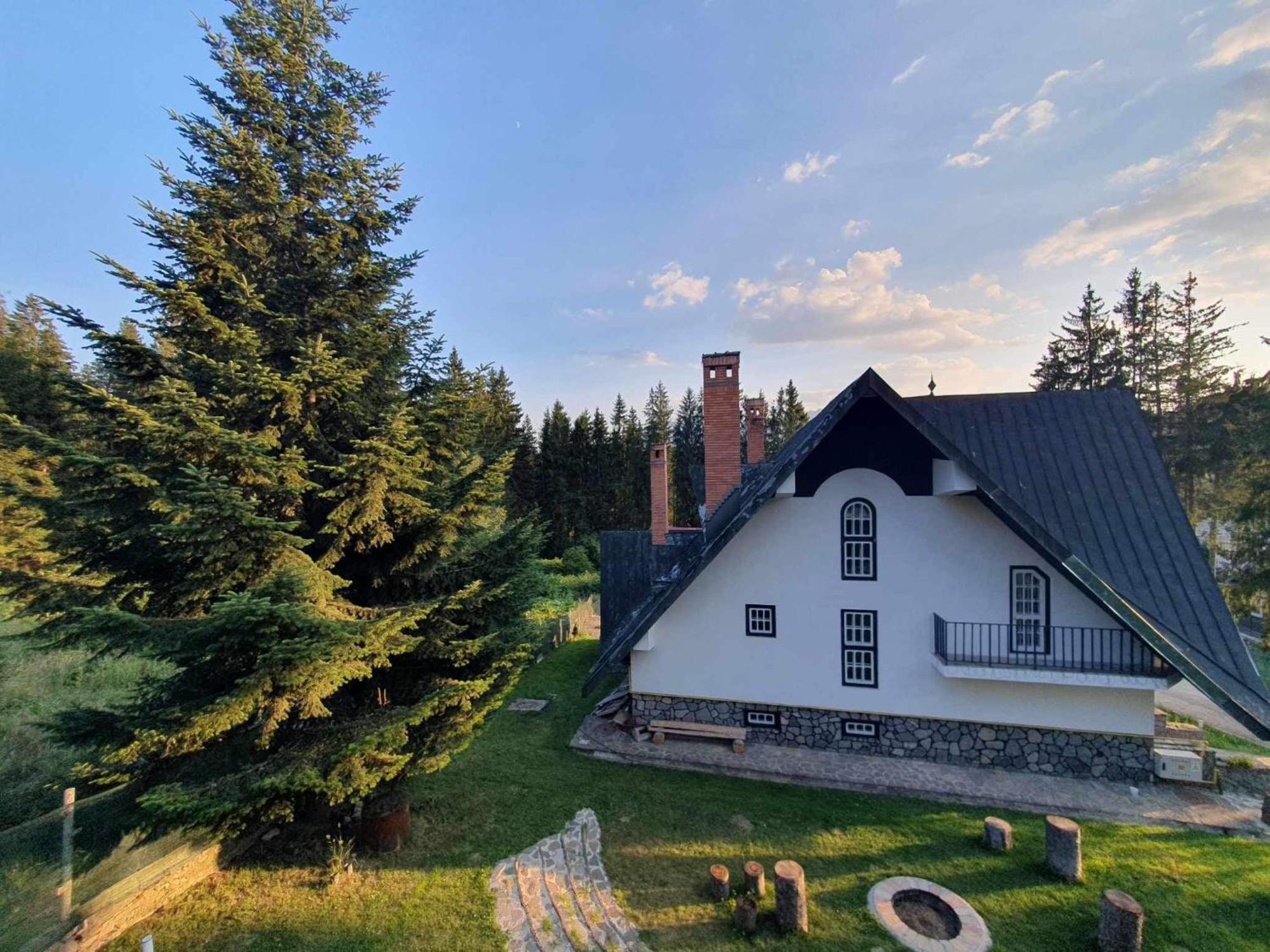 Pine Peak Apartments Predeal Zewnętrze zdjęcie