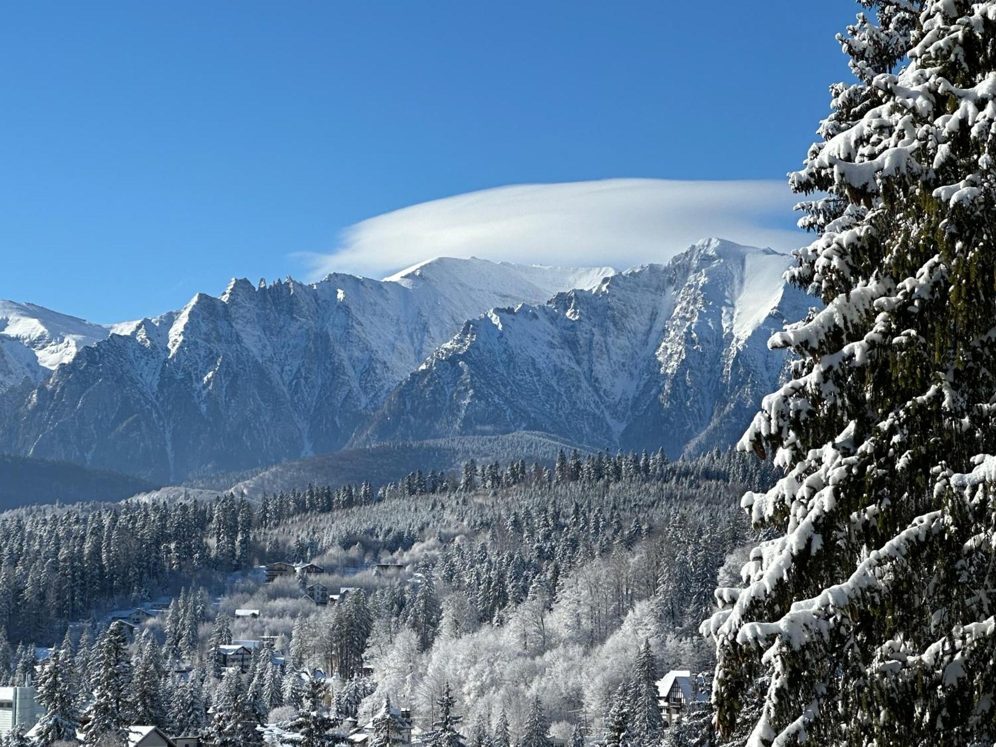 Pine Peak Apartments Predeal Zewnętrze zdjęcie