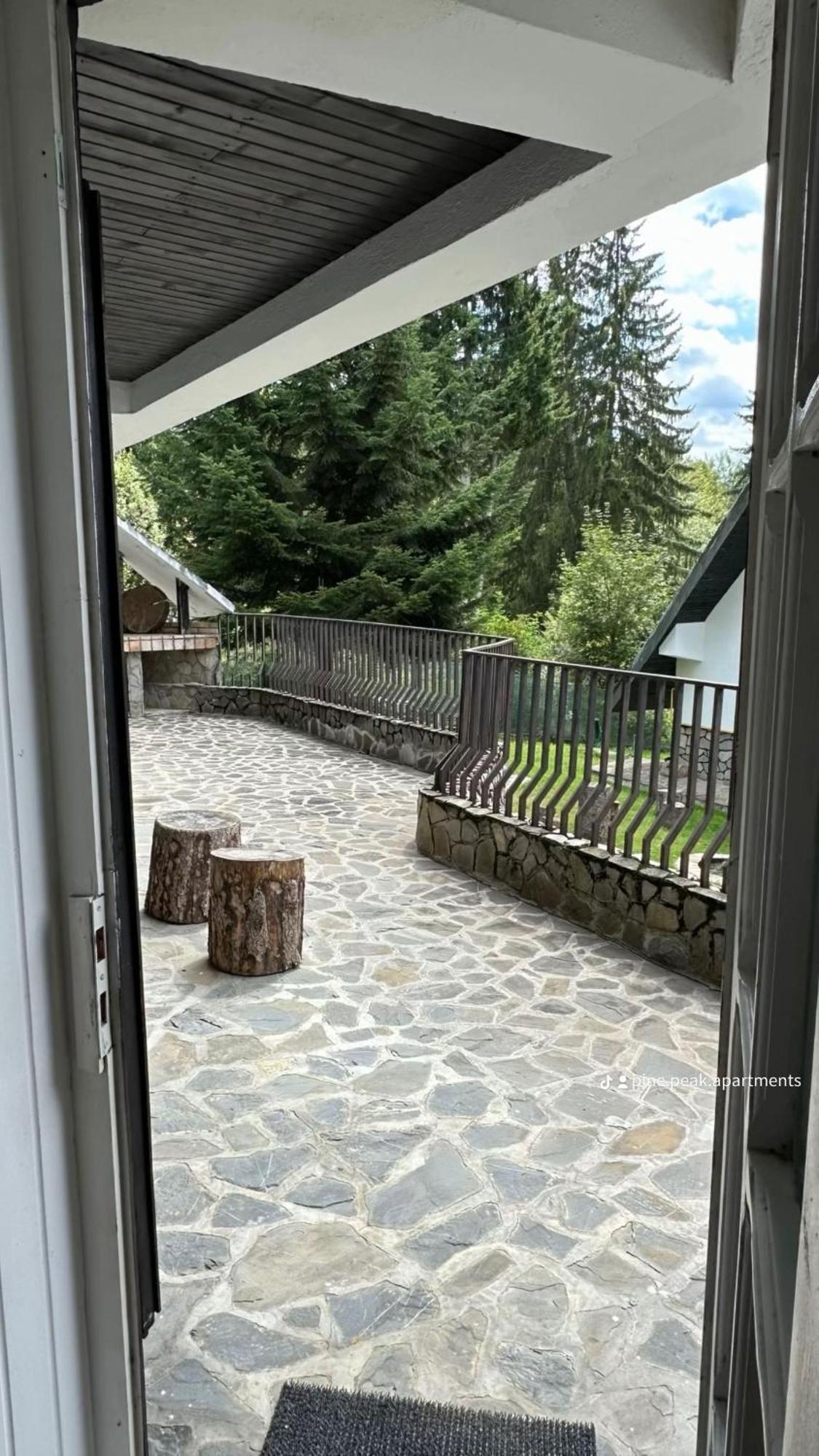 Pine Peak Apartments Predeal Zewnętrze zdjęcie